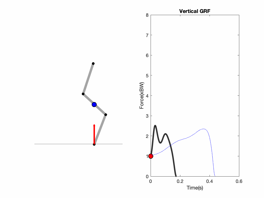 Three-segment leg model with vertical ground reaction force