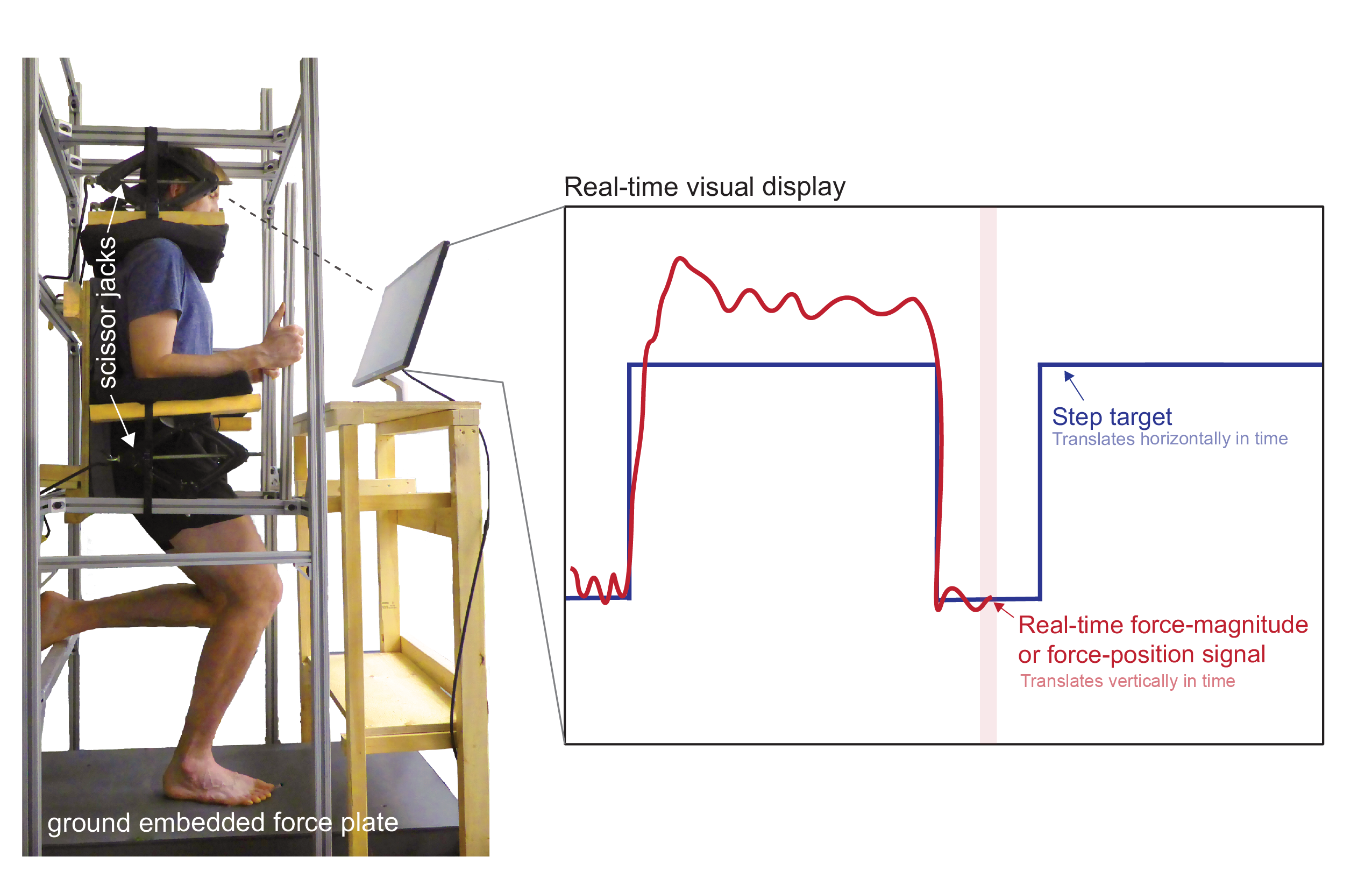 Force control experiment