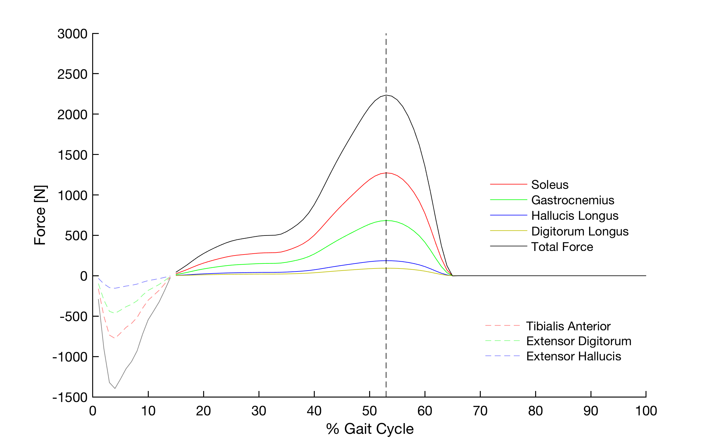 Muscle force estimation