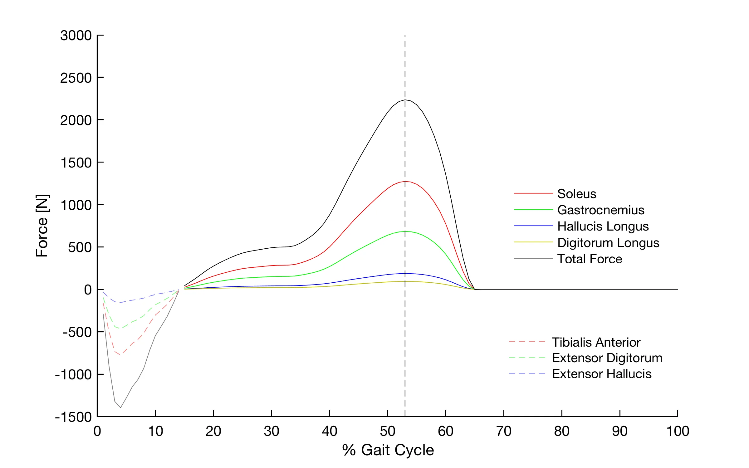 Muscle force estimation