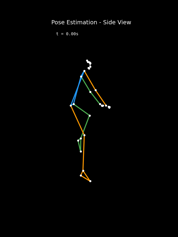 Video-based biomechanics pipeline animation