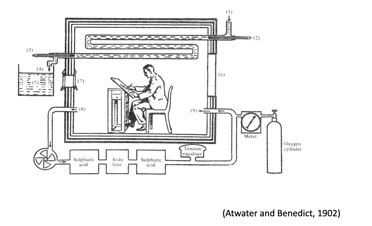 Atwater-Benedict calorimeter