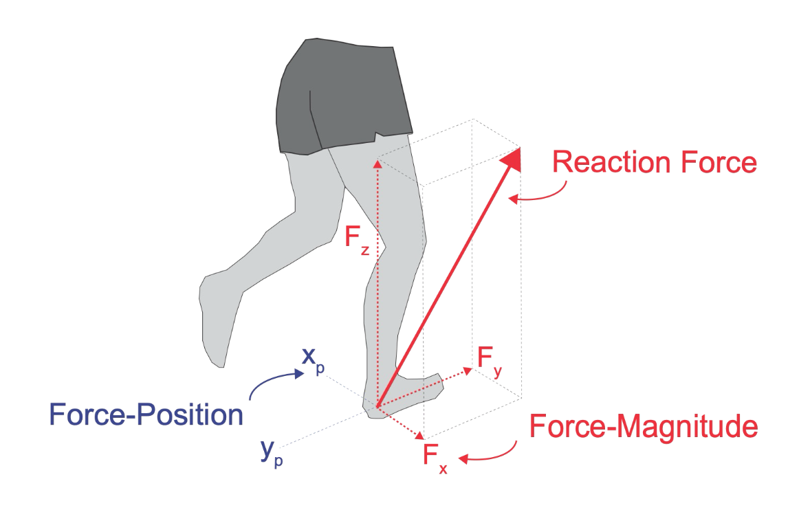 Ground reaction force vectors