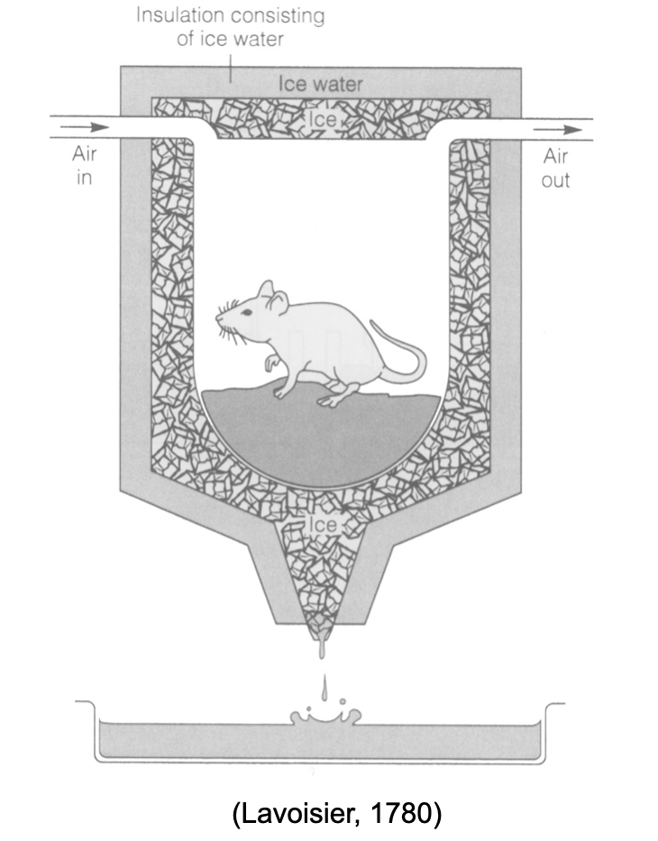 Lavoisier calorimeter